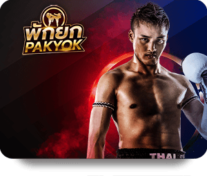 12Bet: Enhancing Your English Football Viewing Experience with Bets